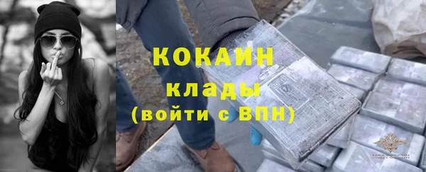 дурь Арсеньев