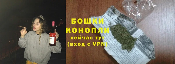 дурь Арсеньев