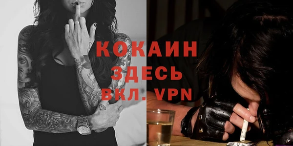 кокс Аркадак