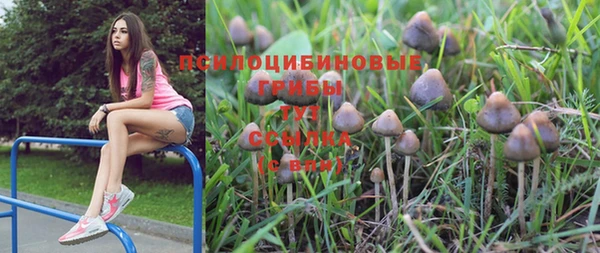 PSILOCYBIN Баксан