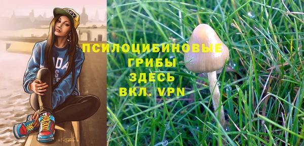 кокс Аркадак