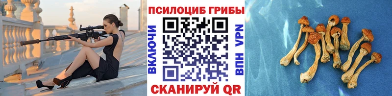 Галлюциногенные грибы GOLDEN TEACHER  Спас-Деменск 