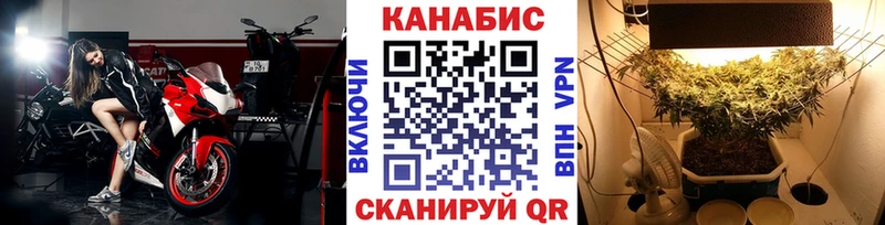 Конопля семена  купить  цена  Спас-Деменск 